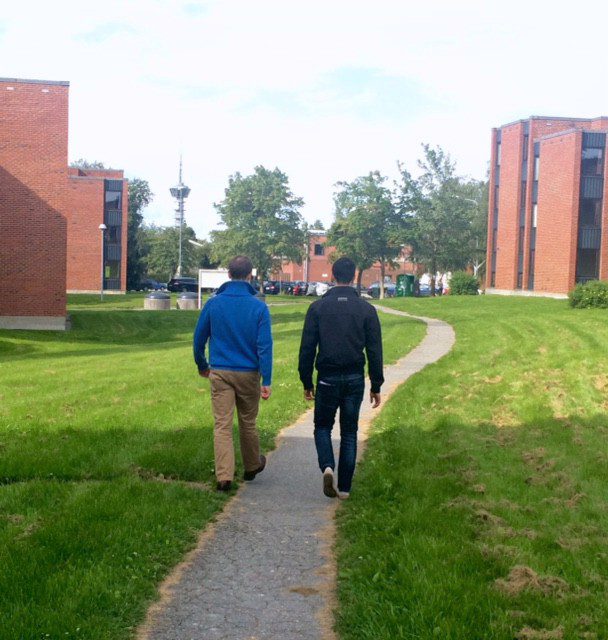 Moholt studentby